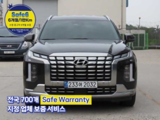 현대 더 뉴 팰리세이드