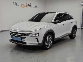 현대 넥쏘
