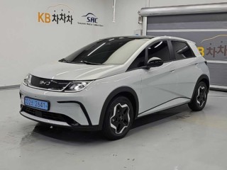 BYD 돌핀