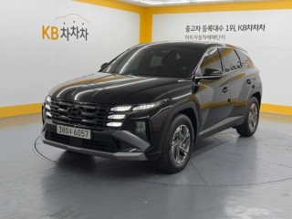 현대 더 뉴 투싼 하이브리드 (NX4)