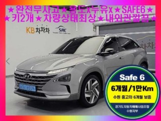 현대 넥쏘