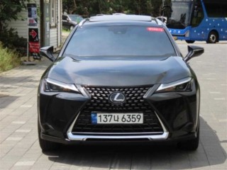 렉서스 UX 250h