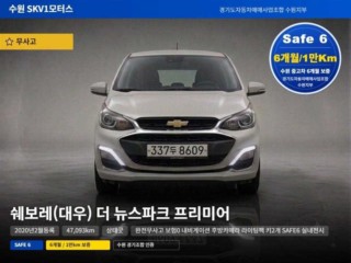 쉐보레 더뉴스파크