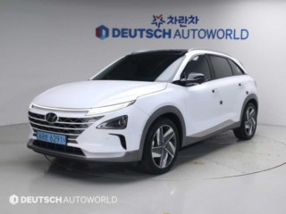 현대 넥쏘 프리미엄