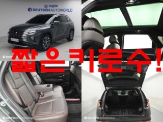 현대 투싼 하이브리드(NX4)