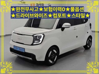기아 더 뉴 기아 레이 EV