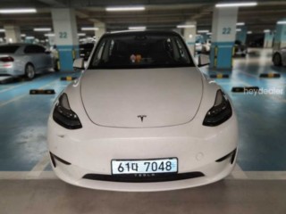 테슬라 모델 Y