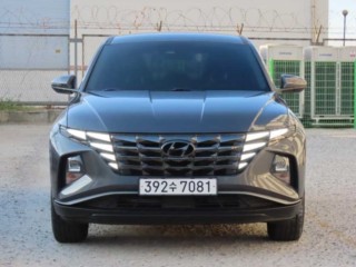 현대 투싼 하이브리드(NX4)