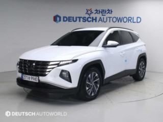 현대 투싼 하이브리드(NX4)