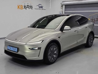 테슬라 모델 Y