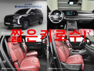 현대 더 뉴 팰리세이드