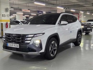 현대 더 뉴 투싼 하이브리드 (NX4)