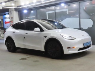 테슬라 모델 Y