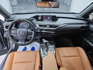 렉서스 UX 중고 2019년 06월