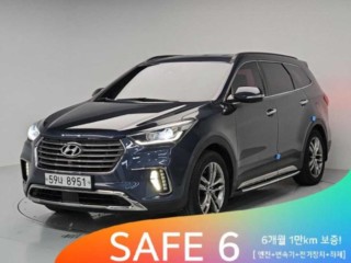 현대 더뉴맥스크루즈