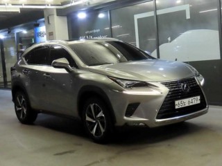 렉서스 NX 300h