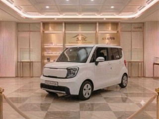 기아 더 뉴 기아 레이