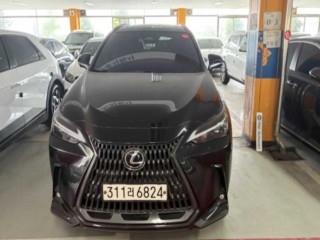 렉서스 NX 450h+