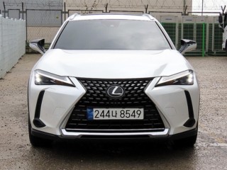 렉서스 UX 250h