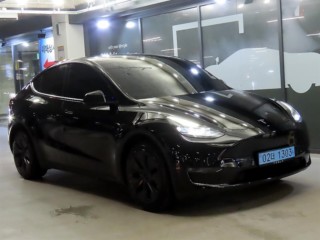 테슬라 모델 Y