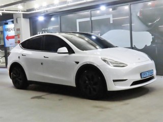 테슬라 모델 Y