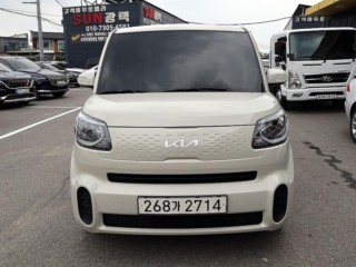 기아 더 뉴 레이 스탠다드