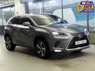 렉서스 NX 300