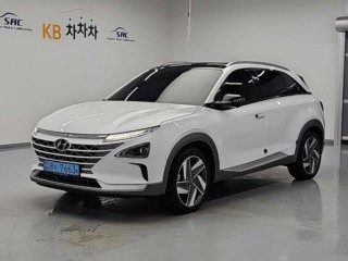 현대 넥쏘
