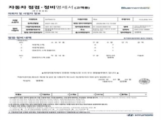 현대 넥쏘