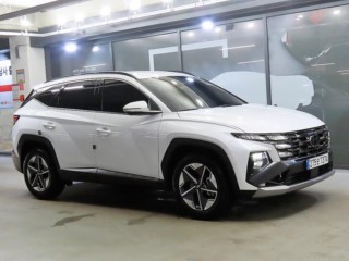 현대 더 뉴 투싼 하이브리드 (NX4)