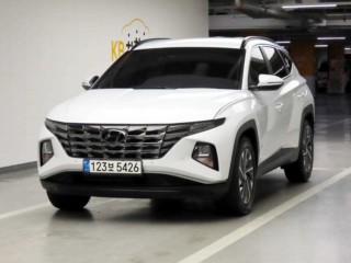 현대 투싼 (NX4)