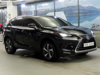렉서스 NX 300h