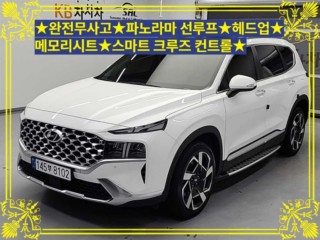 현대 더 뉴 싼타페