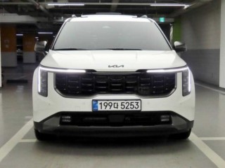 기아 더 뉴 카니발 하이브리드