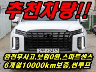 현대 더 뉴 팰리세이드