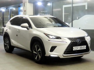 렉서스 NX 300h