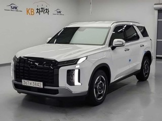 현대 더 뉴 팰리세이드
