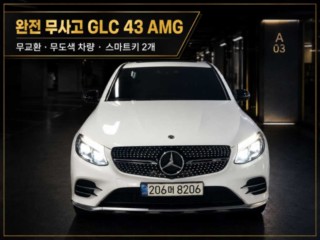 벤츠 GLC클래스 X253