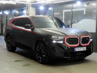 BMW XM (G09)