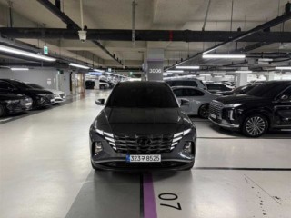 현대 투싼 (NX4)