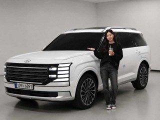 현대 디 올 뉴 팰리세이드