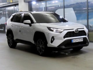 토요타 RAV4(5세대)