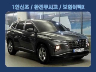 현대 투싼 (NX4)