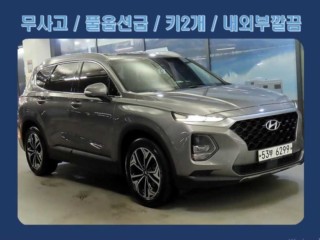 현대 싼타페 TM