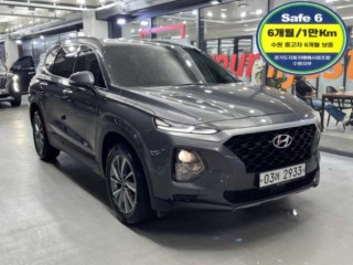 현대 싼타페 TM