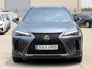 렉서스 UX 300h