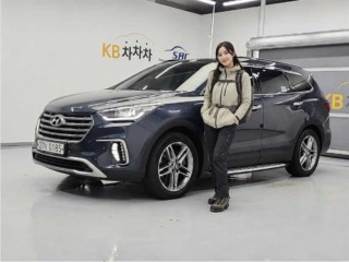 현대 더뉴맥스크루즈