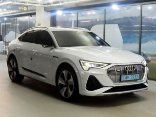 아우디 e-트론