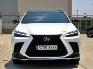렉서스 NX 450h+