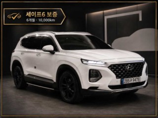 현대 싼타페 TM